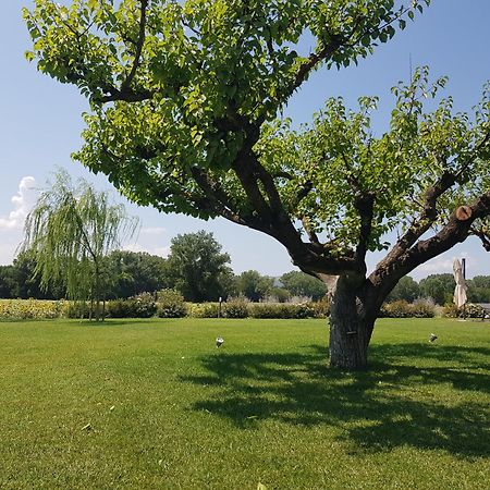 Agriturismo Villa Al Piano Todi Eksteriør bilde