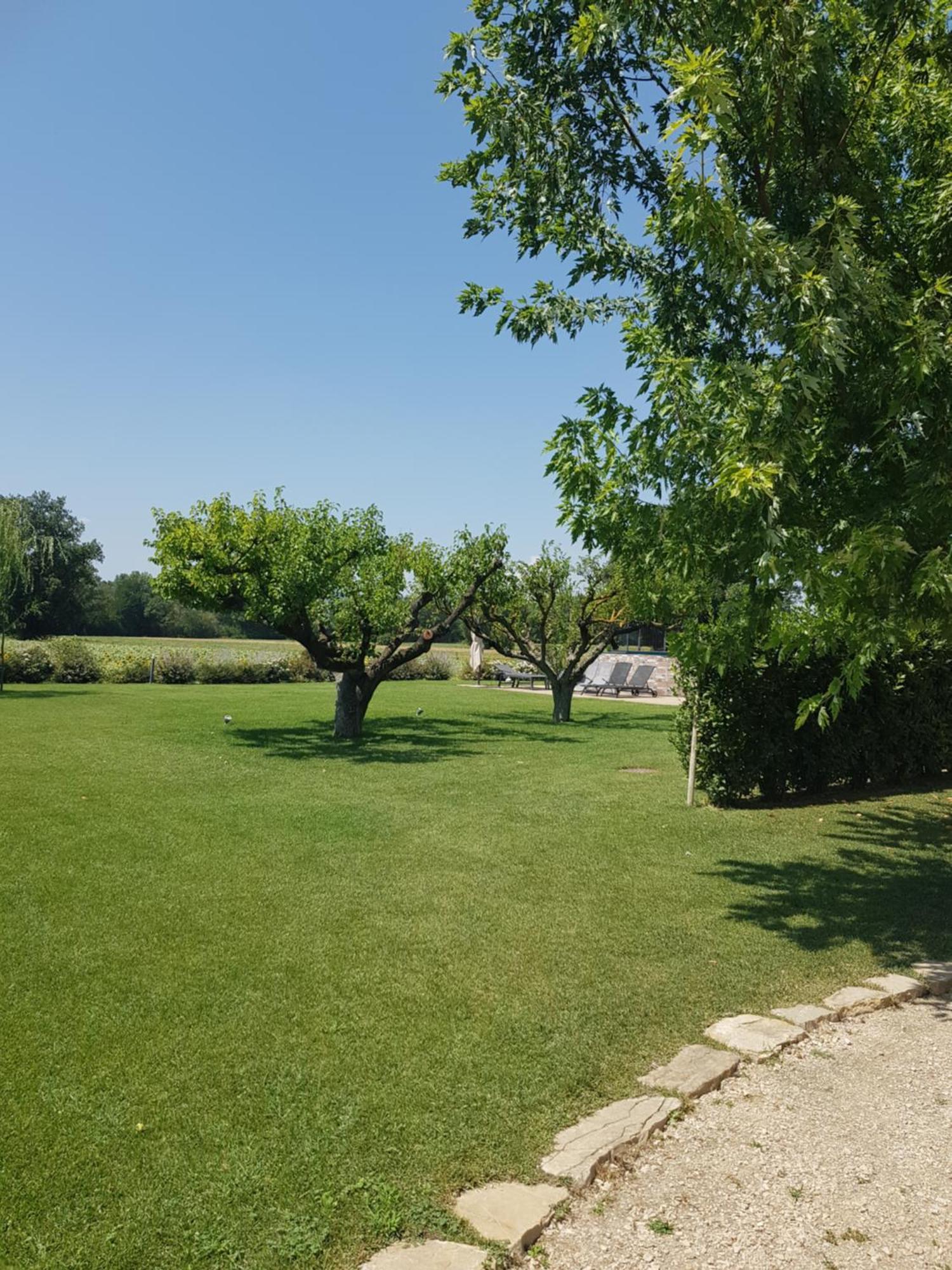 Agriturismo Villa Al Piano Todi Eksteriør bilde