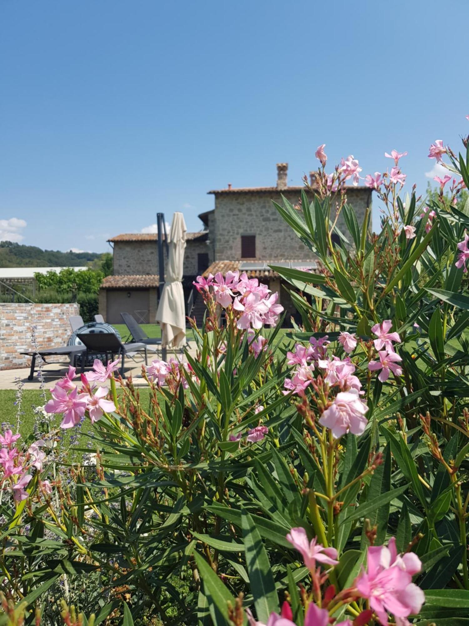 Agriturismo Villa Al Piano Todi Eksteriør bilde