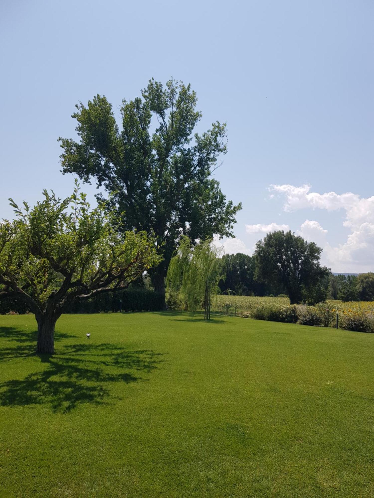 Agriturismo Villa Al Piano Todi Eksteriør bilde