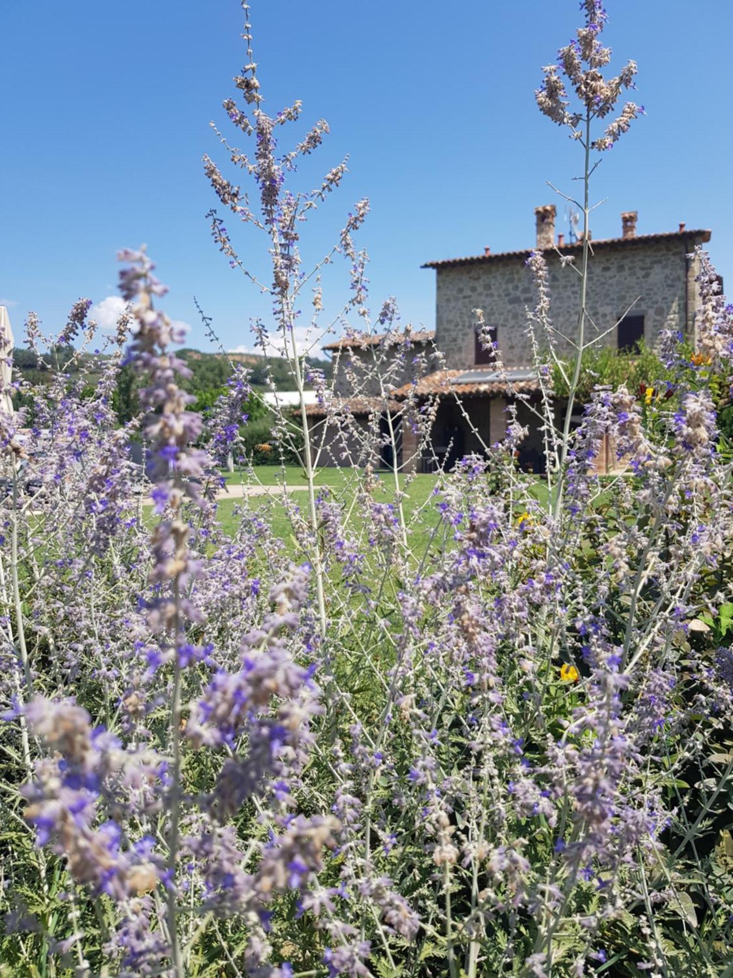 Agriturismo Villa Al Piano Todi Eksteriør bilde